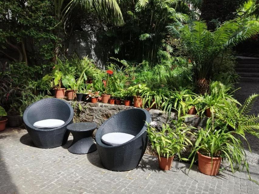 Vila Vicencia Funchal  Exterior photo